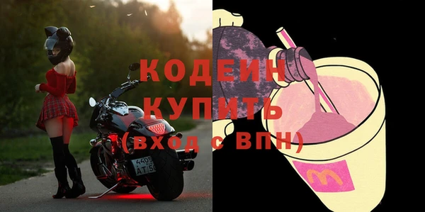 индика Верея