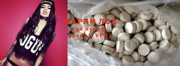 индика Верея