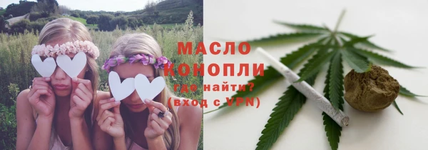 индика Верея
