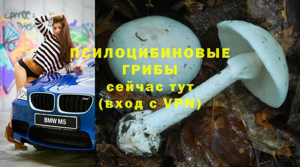индика Верея