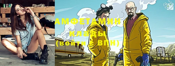 индика Верея