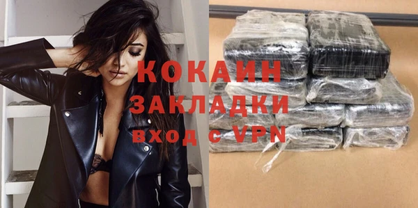 индика Верея
