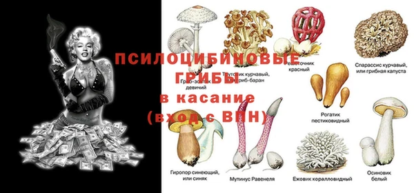 индика Верея