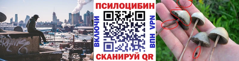 Купить  Покров  Псилоцибиновые грибы MAGIC MUSHROOMS 